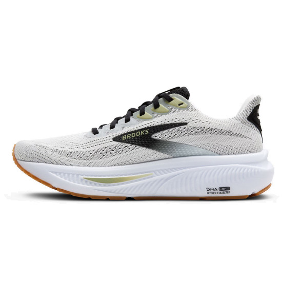 Brooks Ghost 17